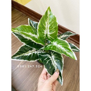 cây lá môn 30cm - cây giả