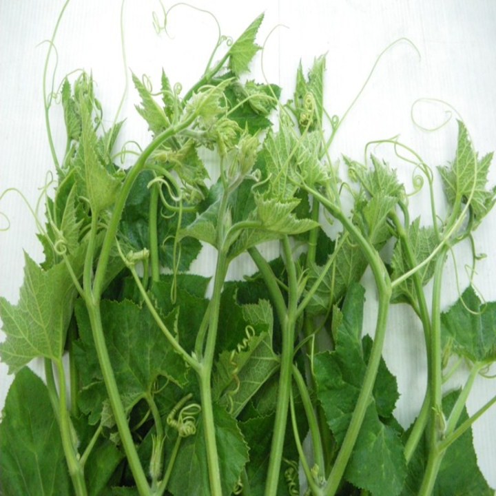 10 Hạt giống bí siêu ngọn mập - 10gram