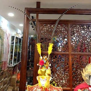(CÓ SẴN) Cặp Lông Trĩ Tôn Ngộ Không Dài Từ 60cm Đến 150cm