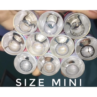 Combo 5 cặp lens được lựa mẫu - sử dụng 1 năm tặng kèm khây đựng