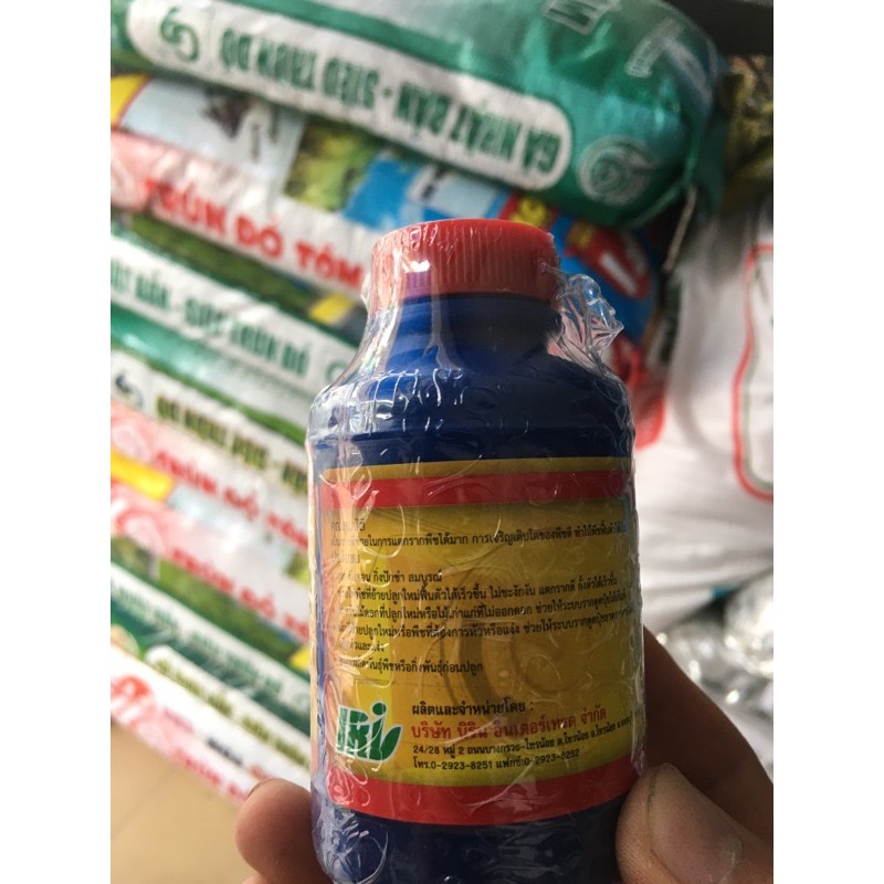 b1 thái, vitamin cho hoa cây cảnh, hoa phong lan 100cc/lọ