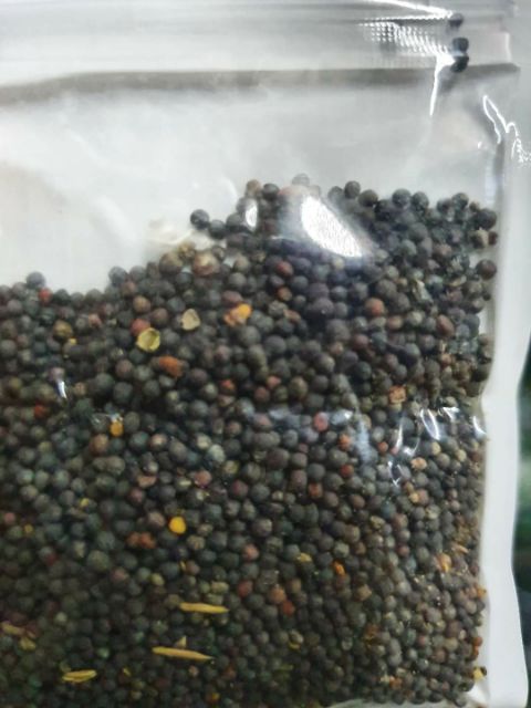 HẠT GIỐNG THỦY SINH CỎ TRÁI TIM 10G