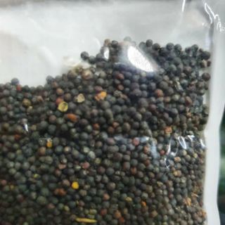 HẠT GIỐNG THỦY SINH SỐ 6 CỎ TRÁI TIM 10G