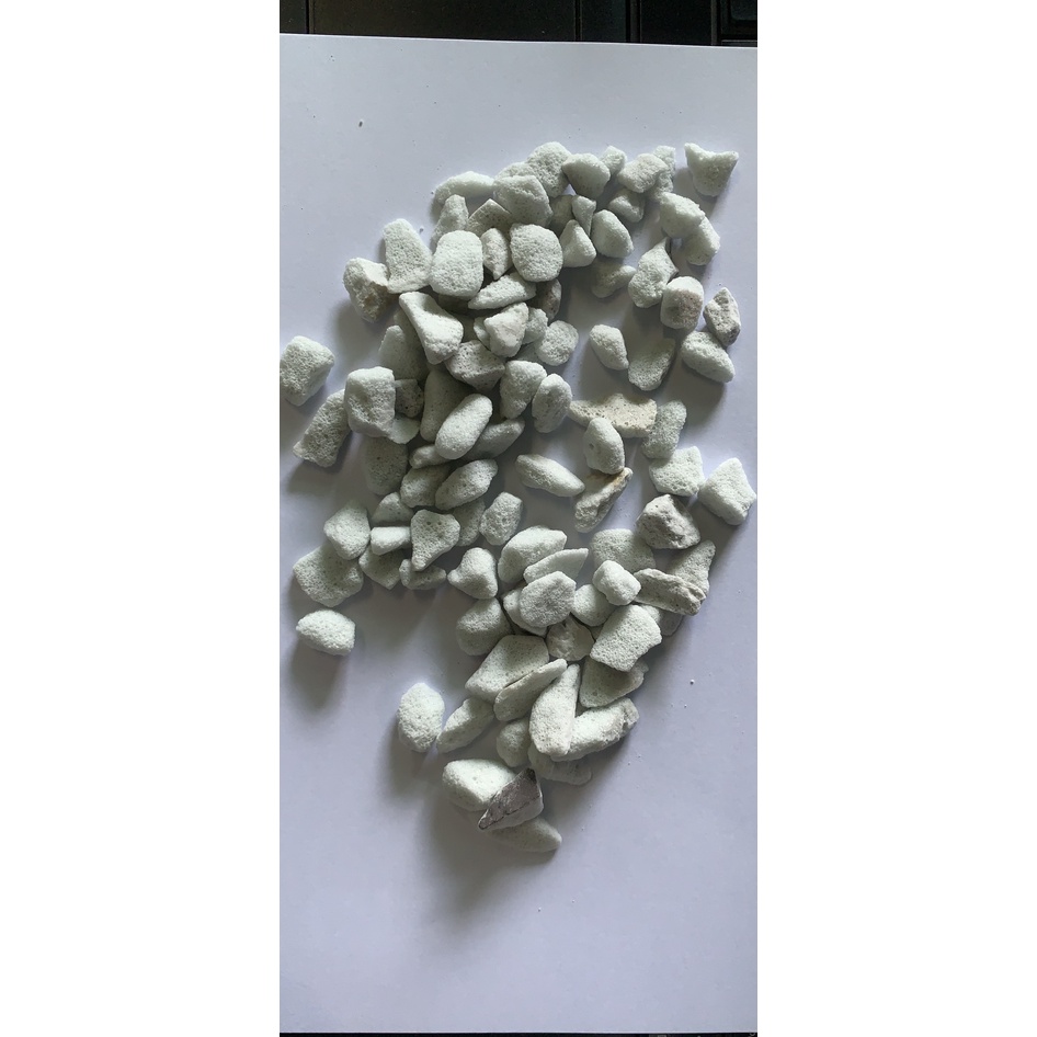 Đá trân châu Perlite trồng sen đá hoa lan túi 2 lít