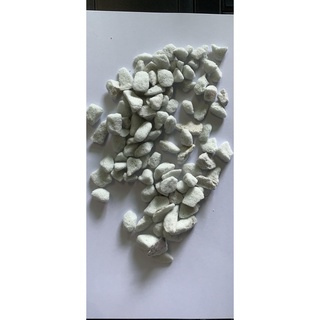 Đá trân châu Perlite trồng sen đá hoa lan túi 2 lít