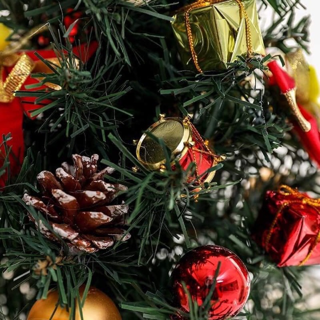 Cây Thông Noel để bàn