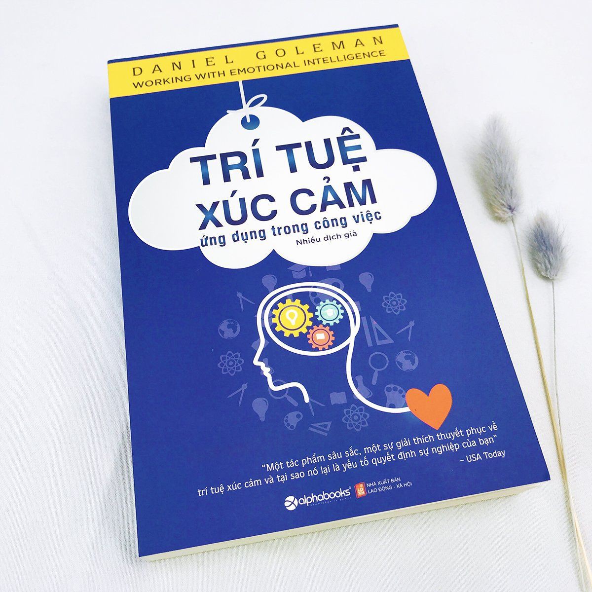 Sách - Trí Tuệ Xúc Cảm Ứng Dụng Trong Công Việc (Bìa xanh) | BigBuy360 - bigbuy360.vn