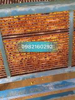 1kg Tinh bột nghệ