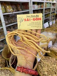 Đẳng Sâm Tây Bắc 100g