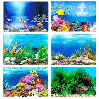 Tấm Áp Phích Dán Tường Hình Đại Dương 3D HD 30/40/50cm Trang Trí Bể Cá
