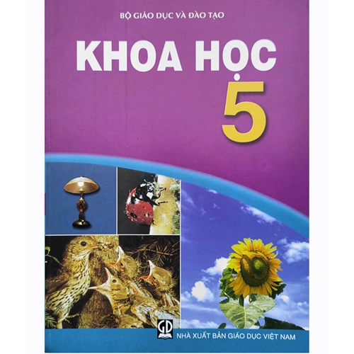 Sách Giáo Khoa Lớp 5 Tự Chọn