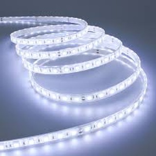 Led dây trang trí nhiều màu