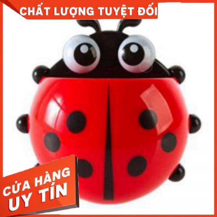 BỌ RÙA LEO TƯỜNG ĐỰNG ĐỒ ĐA NĂNG  shop KUMO [FreeShip – HÀN