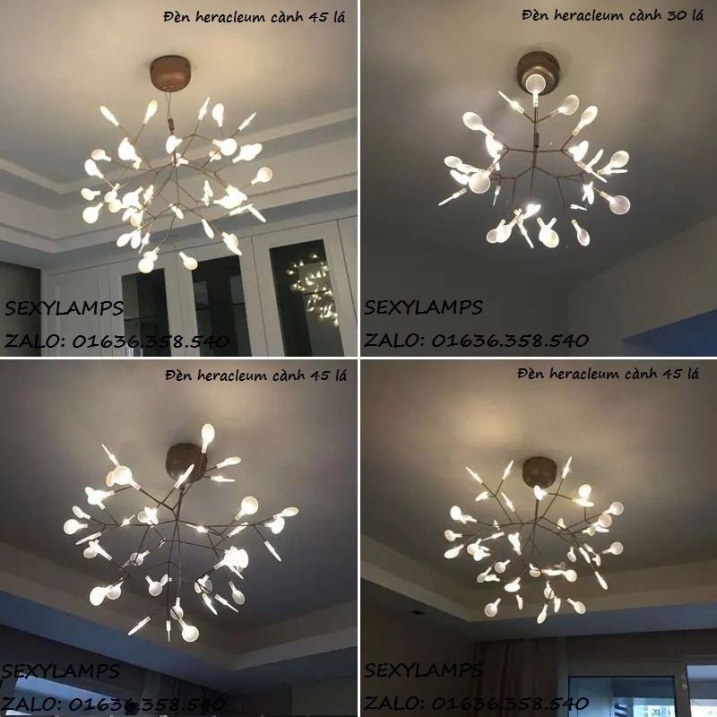 ĐÈN TRANG TRÍ HERACLEUM
