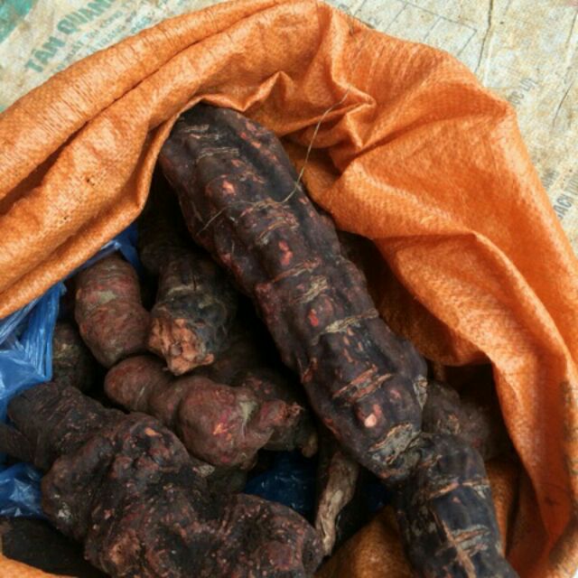 Sỉ giá gốc củ hà thủ ô tươi 1kg