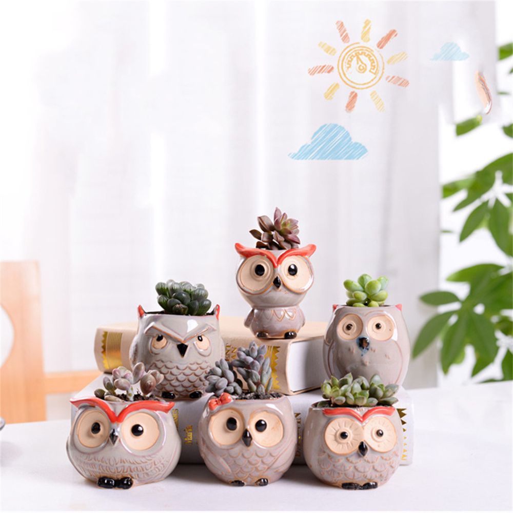 Chậu Cây Bằng Gốm Sứ Hình Cú Mèo Dễ Thương Dùng Trang Trí Nhà Cửa
