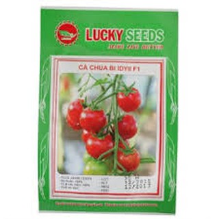 Hạt giống cà chua bi cao đỏ (30H)
