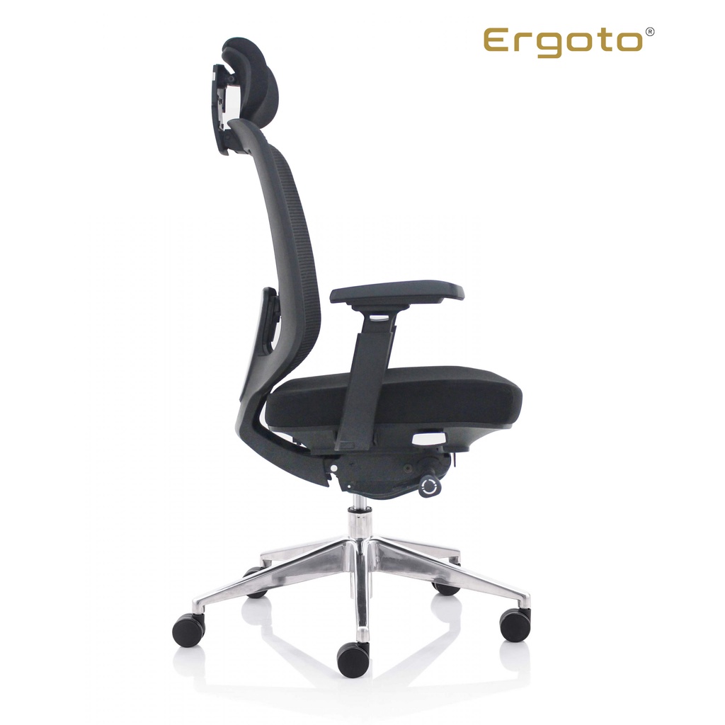 Ghế Công Thái Học Văn Phòng Ergoto Ergonomic office chair Crown-Q05GH-AL