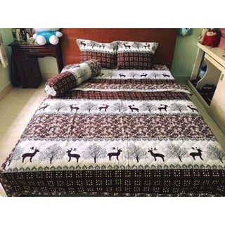 Set 5 món cotton poly