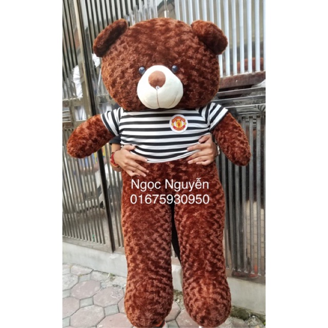 (Ảnh Thật 100%)-Gấu Bông Teddy 1m4 Khổ Vải cao 1m2 HÀNG CHUẨN LOẠI 1