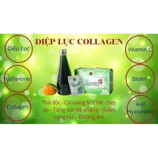 dịp lục___