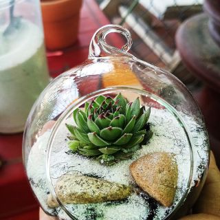 Chậu thủy tinh có móc treo