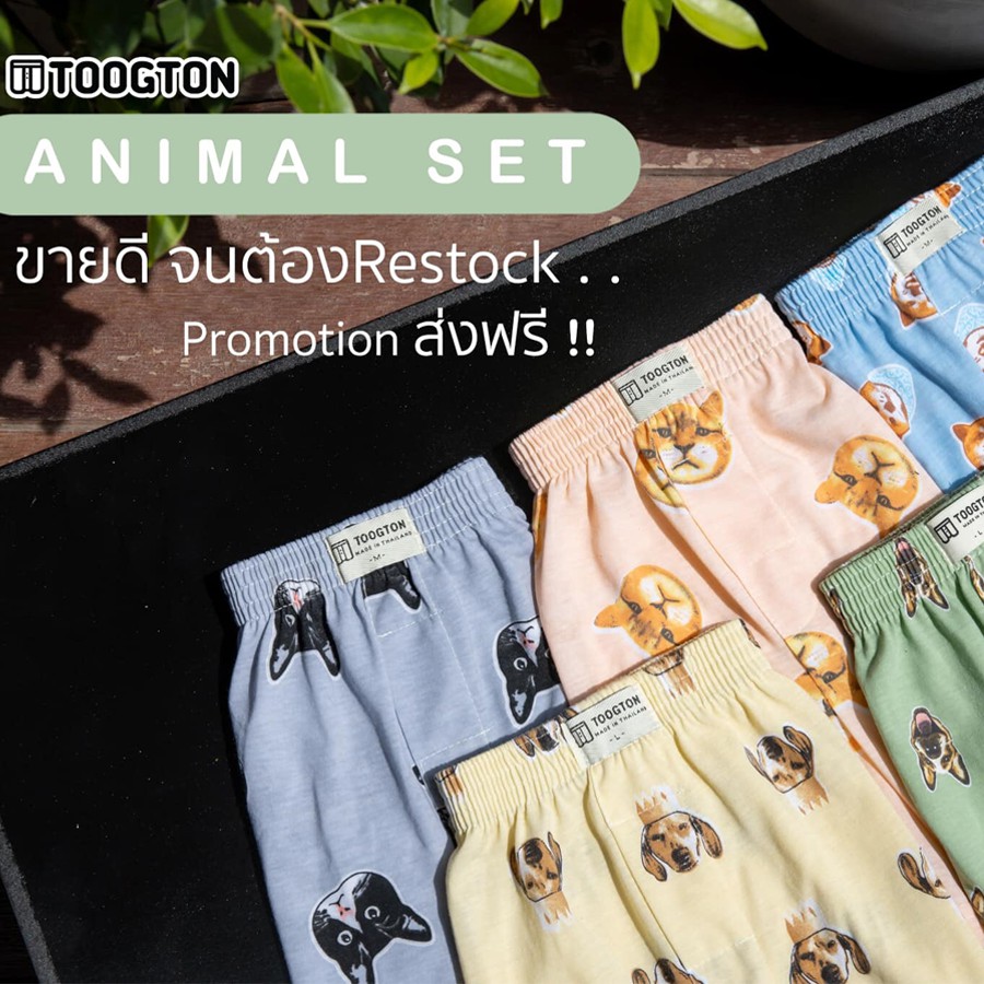 Quần Đùi Nam 100% Thun Cotton Co Giãn [Hình Thật] | BigBuy360 - bigbuy360.vn