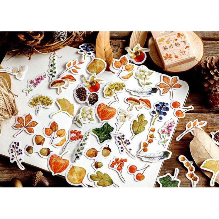 Bộ 46 Sticker Mùa Thu Vàng dán trang trí E46