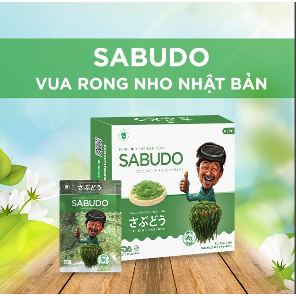 Gói Rong nho tách nước SABUDO [FREESHIP] Vua rong nho Nhật Bản chính hãng F99 | BigBuy360 - bigbuy360.vn