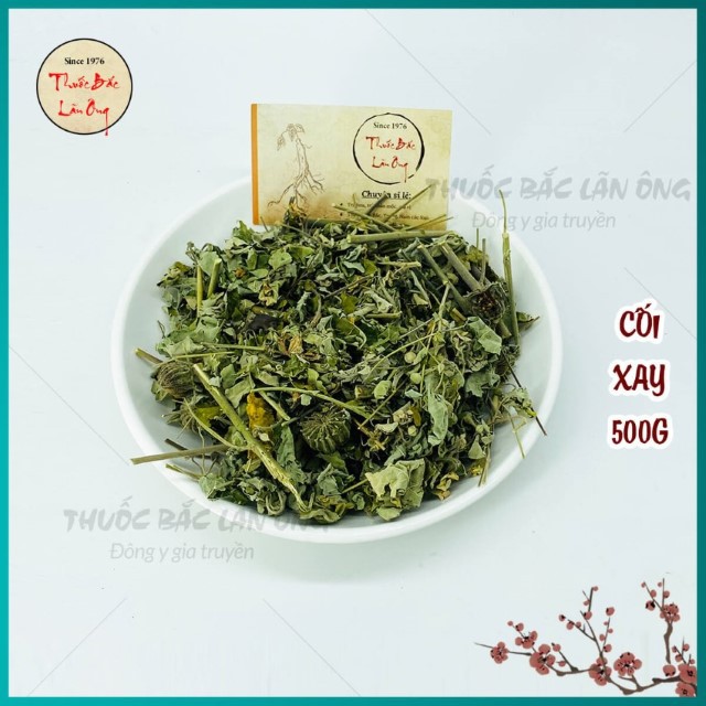 Cây Cối Xay 500g