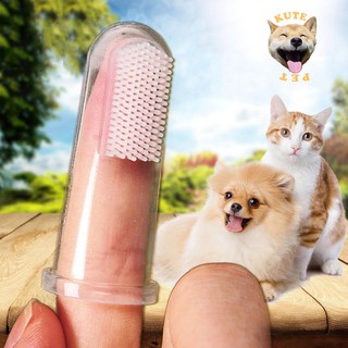 Bàn chải đánh răng cho chó mèo