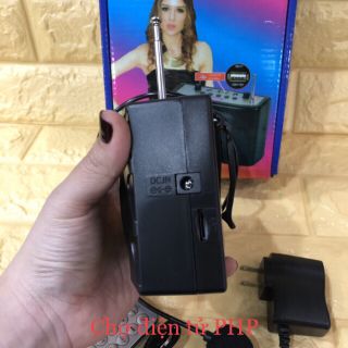 Loa trợ giảng SONY SN 898