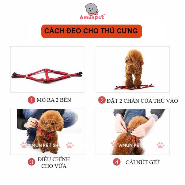 Dây Dắt Chó Mèo Đi Dạo Dễ Thương Mẫu Dây Dắt Dạng Yếm Cho Thú Cưng Giá Rẻ Amun Pet