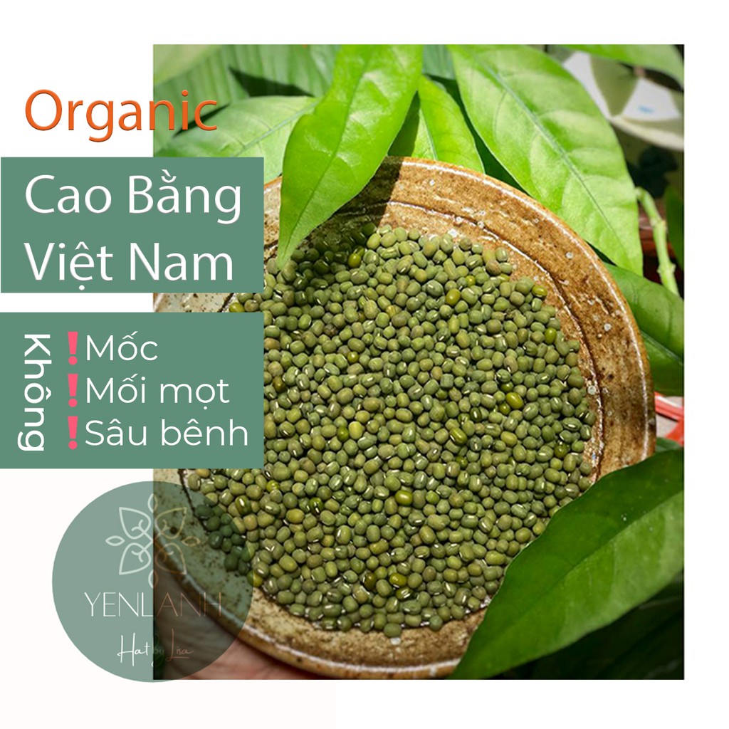 [Mã 159FMCGSALE giảm 8% đơn 500K] Hạt đậu xanh/ đỗ xanh nguyên vỏ Organic làm giá đỗ và sữa hạt Yenlanhnatural