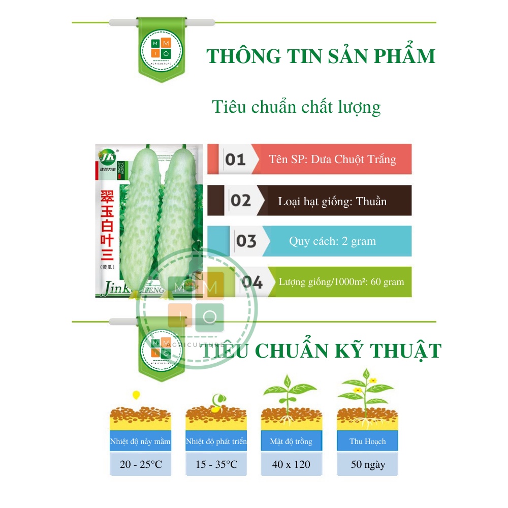 Hạt giống dưa chuột nếp trắng Đài Loan siêu quả
