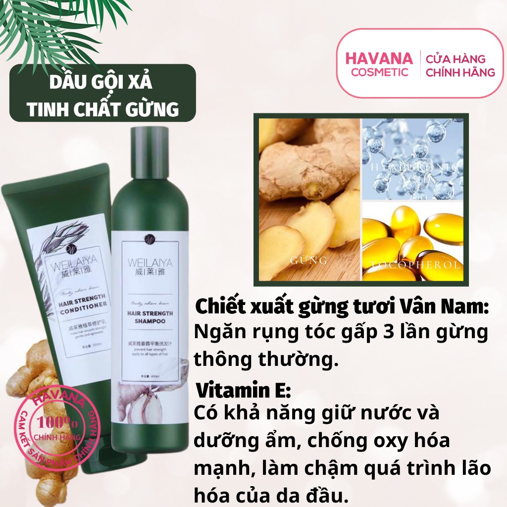 Bộ dầu gội xả gừng Weilaiya chính hãng giảm rụng tóc kích thích mọc tóc - Shop Havana