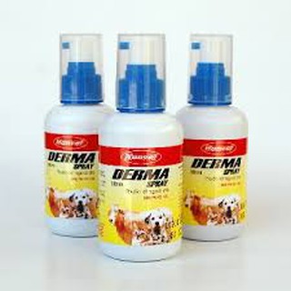 Lở Loét Cho Ch.o Mèo Vật Nuôi Chai Xịt Derma Spray 100ml