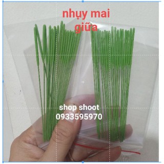 nhụy đực nhụy non đất sét của hoa mai , hoa đào