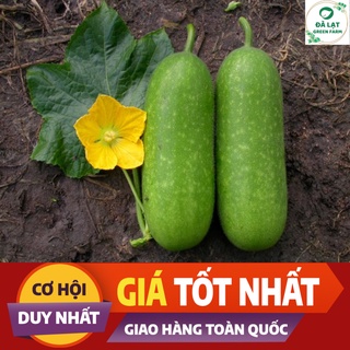 ⚡HẠT GIỐNG BÍ ĐAO CHANH_15 HẠT