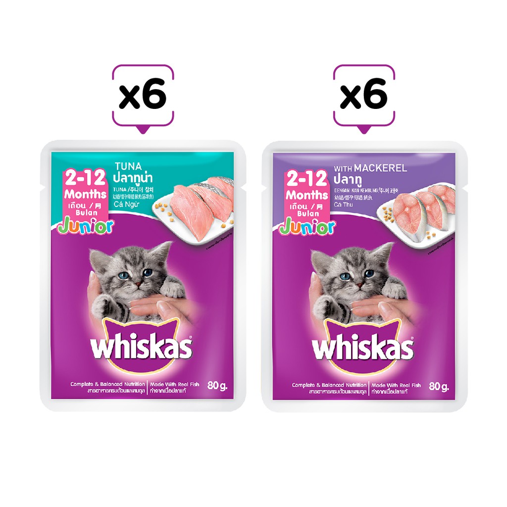 Combo 12 túi mix 2 vị thức ăn pate cho mèo con Whiskas 80g/túi