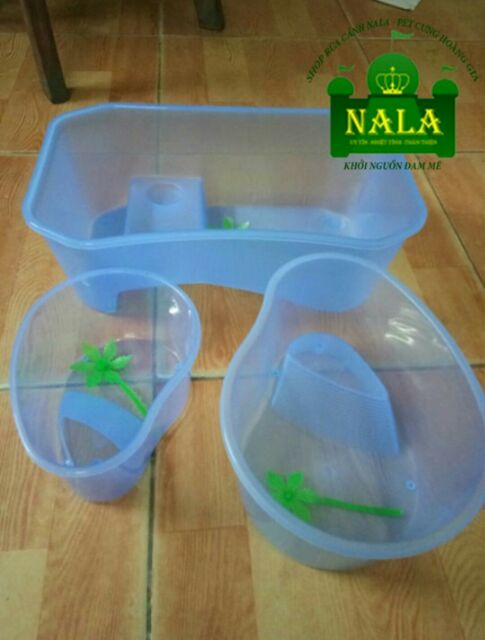 Bể nuôi cá và rùa