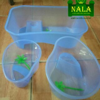 Bể nuôi cá và rùa