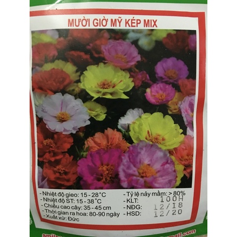 ( SIÊU RẺ ) Hạt giống Hoa Mười Giờ Mỹ kep Mix 100H