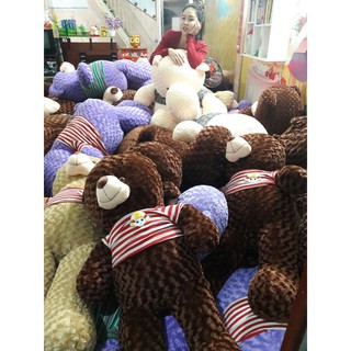 Gấu bông Teddy 2M