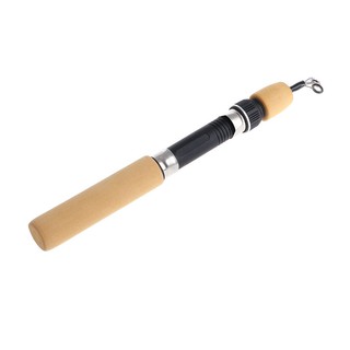 60CM Portable Pocket Winter Ice Fishing Fish Rod Mini Tackle Spinning Casting