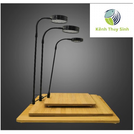 Đèn kệ gỗ Thủy Sinh, Bán Cạn, Tiểu cảnh mini  ( Gọn ghẽ, Tiện lợi, Tính thẩm mỹ cao ) Ánh sáng Led Lexeon 6000k