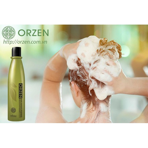 [Chính Hãng]💖💖Dầu Gội Kích Thích Mọc Tóc Orzen Loss Control Shampoo 320ml