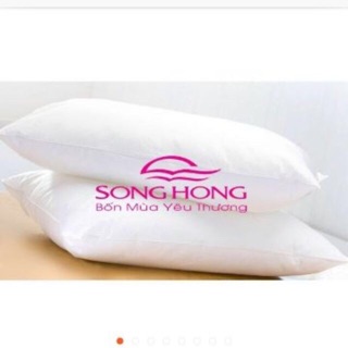2 chiếc ruột gối hơi Sông Hồng (chính hãng)