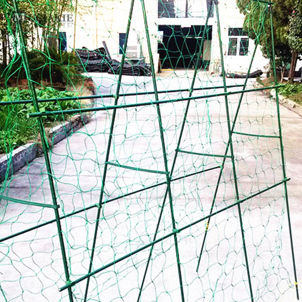 Lưới Trồng Cây Dây Leo 4 Kích Cỡ Bằng Nylon