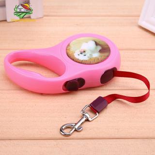 Dây Dắt Thú Cưng Đi Dạo